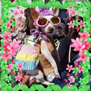 Meet your Posher, Sonya